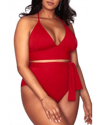 Lovely V Neck Red Plus Size Two-piece Swimwear
